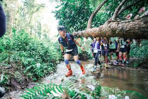 BIB: 
                            <button type="button" onclick="openModal(25472074)" class="btn btn-primary btn-sm float-right btn-popup" data-toggle="modal" data-target=".modal-high-quality">
                        <i class="fas fa-shopping-cart"></i> Add to Cart
                    </button>
                                            <button type="button" onclick="isThisMe(25472074, true)" class="btn btn-success btn-sm float-right btn-popup btn-isme hidden" data-toggle="tooltip" data-placement="bottom" title="นี่คือรูปของคุณใช่ไหม คลิกที่นี่เพื่อเอาเข้าอัลบั้ม">
                        <i class="fas fa-plus"></i> Add to album
                    </button>
                    <button type="button" onclick="isThisMe(25472074, false)" class="btn btn-warning btn-sm float-right btn-popup btn-isnotme hidden">
                        <i class="fas fa-ban"></i> Remove from album
                    </button>